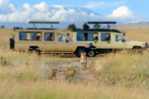 Read more about the article 3 Days Masai Mara Camping Safari