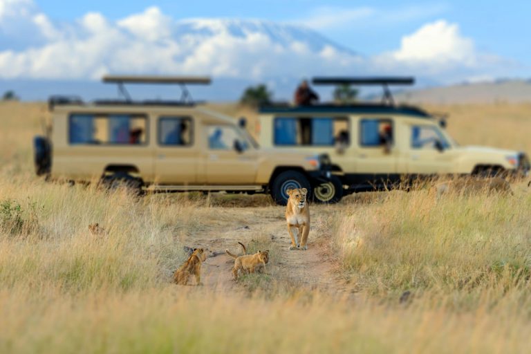 3 Days Masai Mara Camping Safari