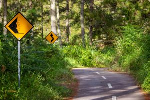 Read more about the article Mountain Safety