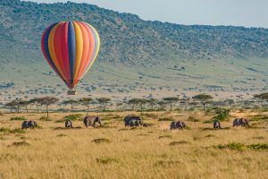 Read more about the article 6 Days Amboseli/ Lake Nakuru/ Masai Mara Camping Safari
