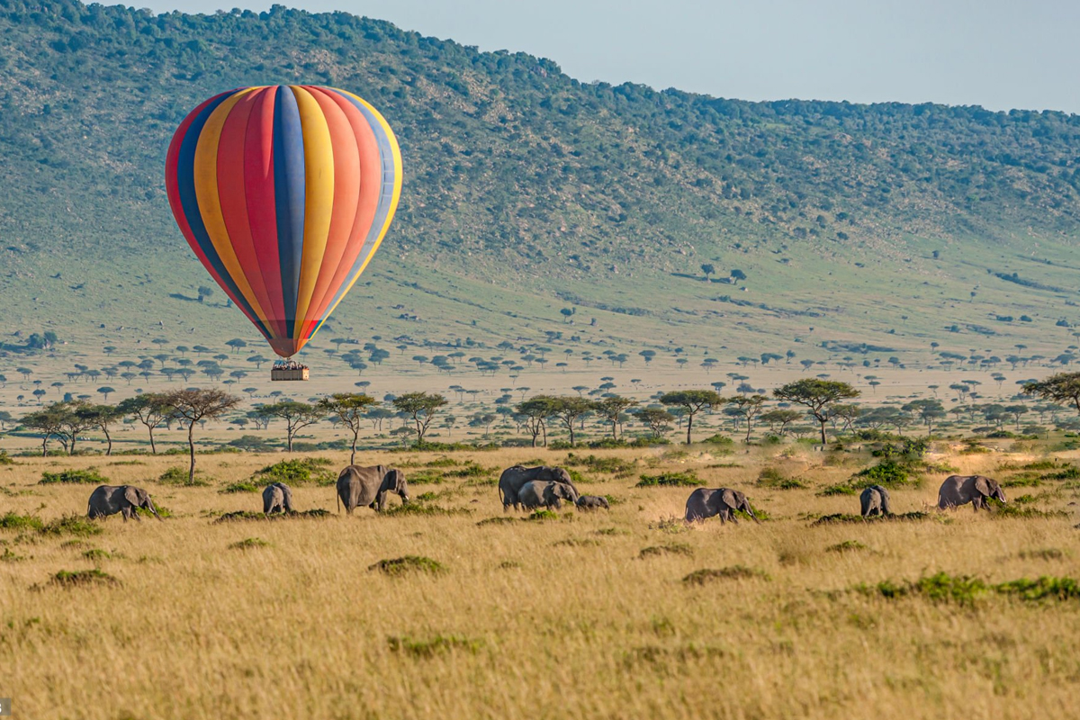 You are currently viewing 6 Days Amboseli/ Lake Nakuru/ Masai Mara Camping Safari