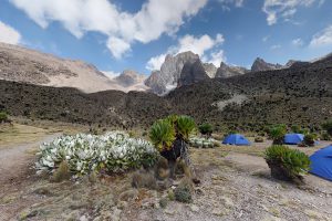 Read more about the article Mount Kenya Technical Climbing