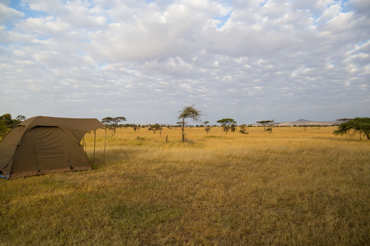 Read more about the article 7 Days Taragire – Ngorongoro – Serengeti – Lake Manyara Lodge safari