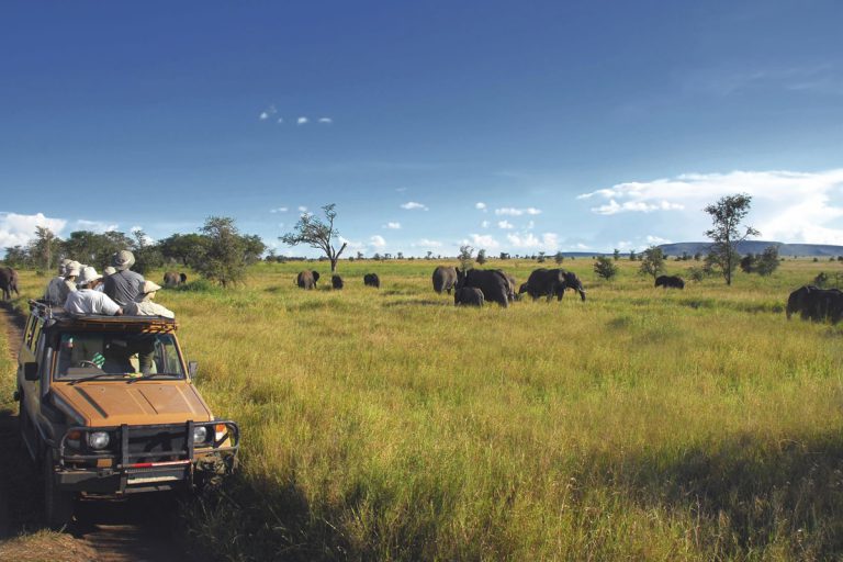 6 Days Lake Manyara, Serengeti, Ngorongoro Budget Camping Safari