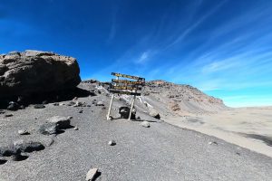 Read more about the article 9 Days Lemosho – Shira Route