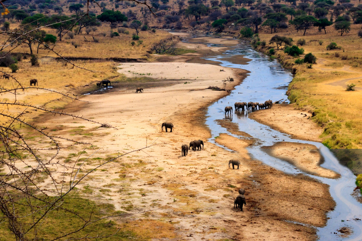 Read more about the article 6 Days Tarangire – Lake Manyara – Serengeti – Ngorongoro Budget Camping Safari